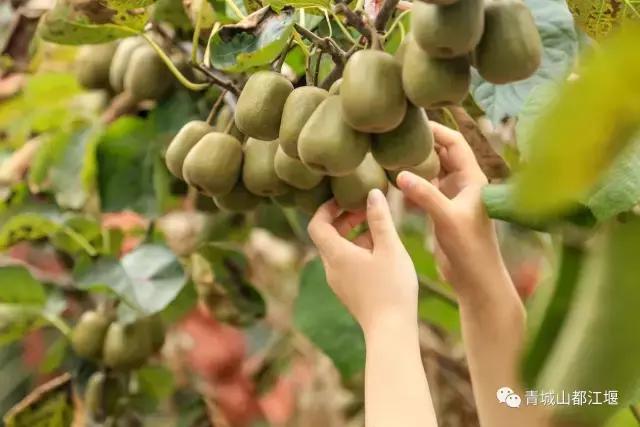 四川旅游一条很直的公路,四川唯一一条有路灯的高速公路