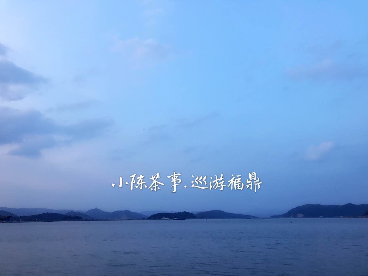 红茶绿茶白茶乌龙茶普洱茶,白茶红茶绿茶普洱哪个茶好