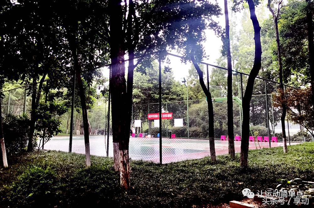 东湖庭院篮球场,室外篮球场东湖区