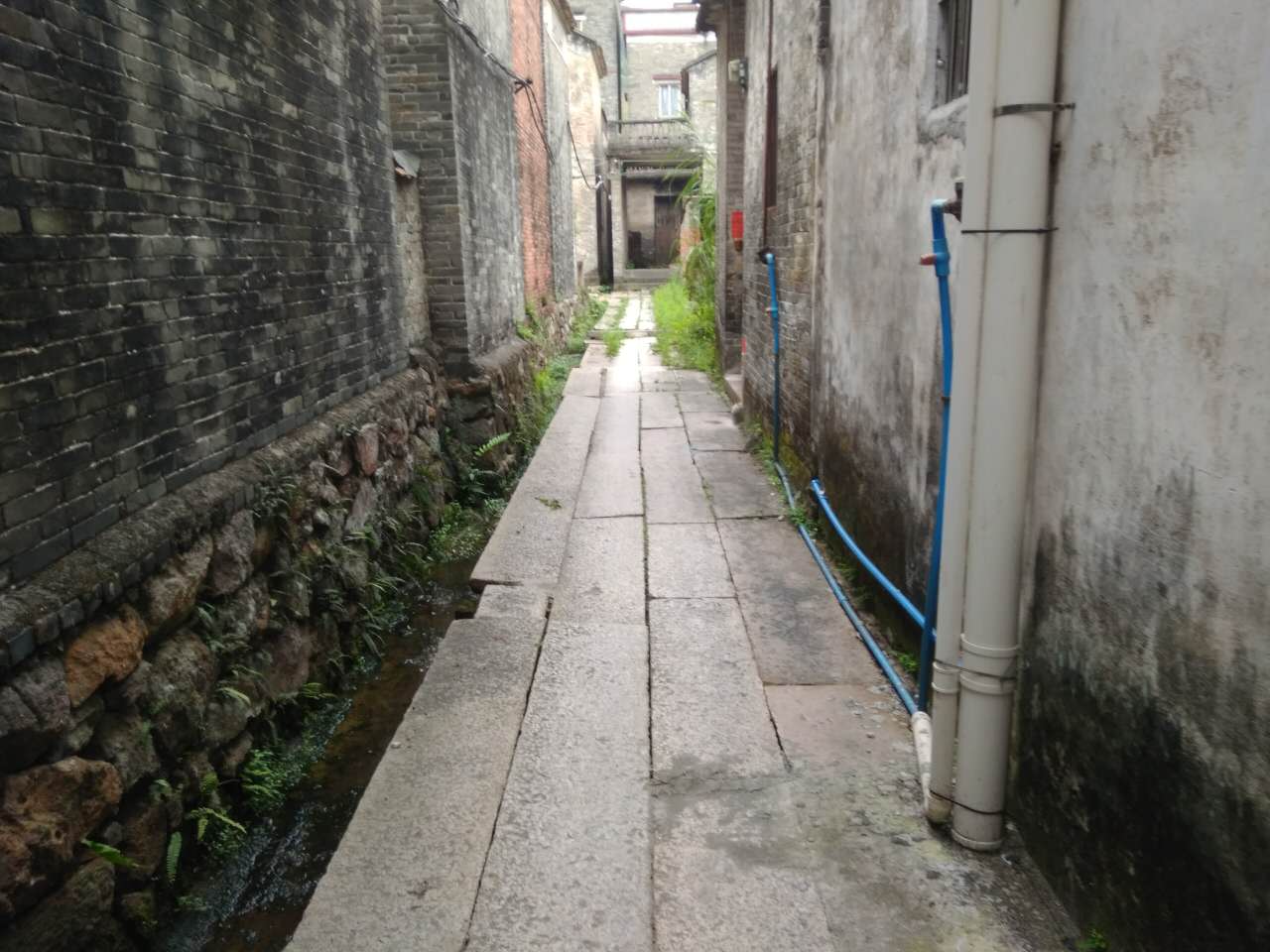 沙田村旅游攻略,广东东莞乡村休闲体验季