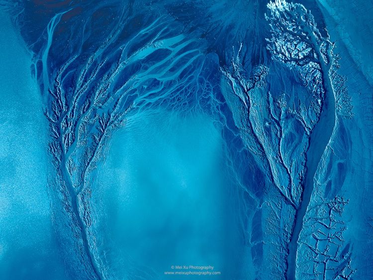 就让我随你去,去俯瞰多姿多彩的大千世界