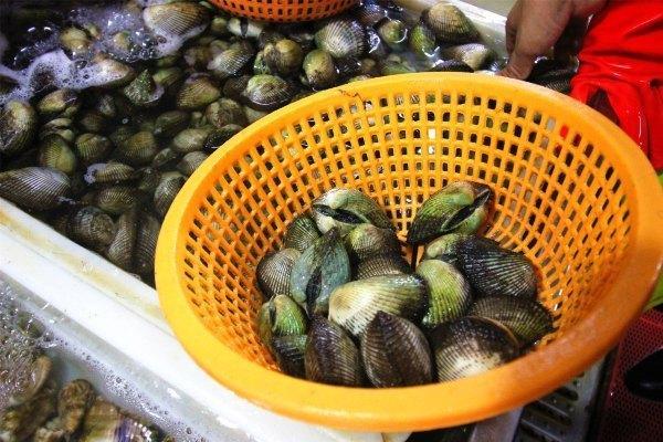 北纬18度的爱意味着什么,北纬18度的爱