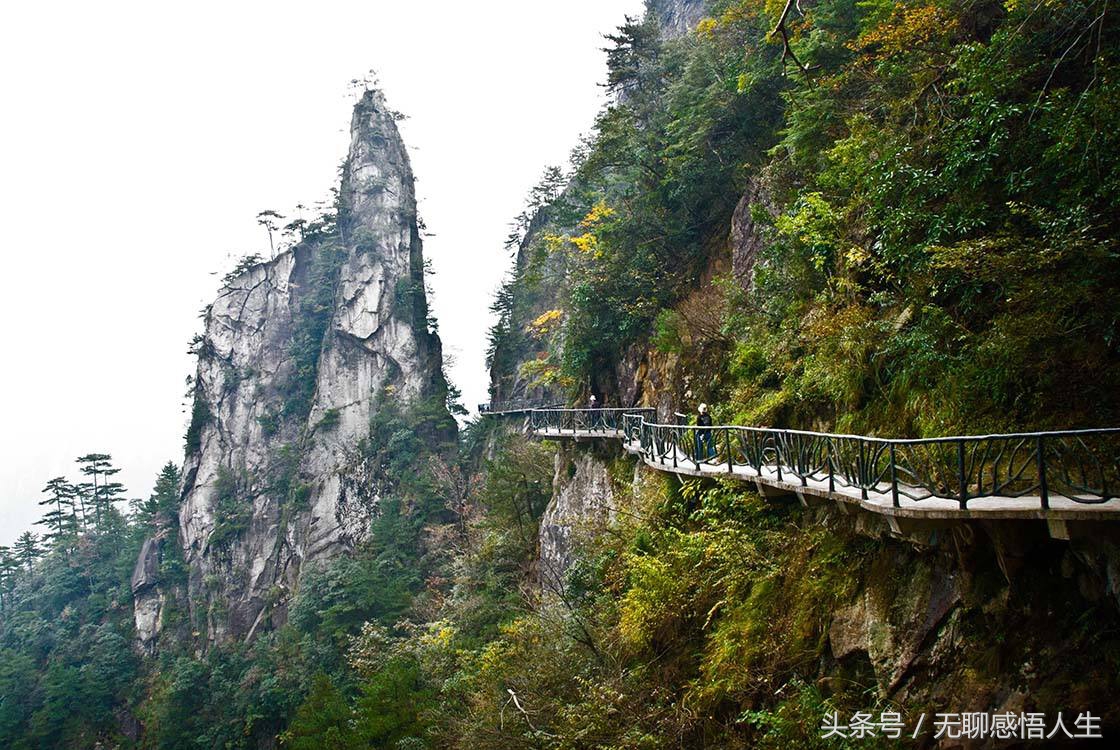 杭州市临安区有什么县,临安区是全国百强区吗