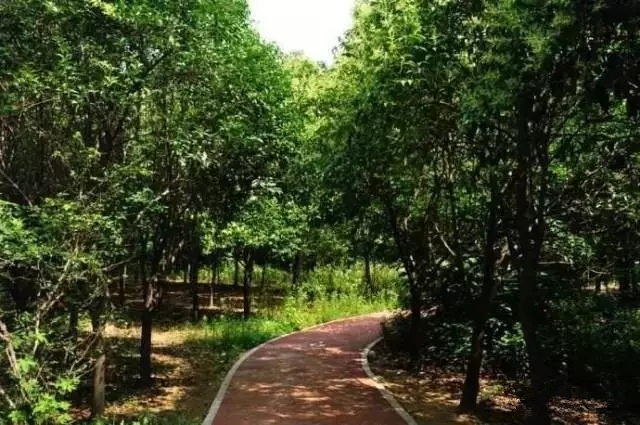 去郑州哪里旅游最便宜又好玩,郑州值得旅游的地方有哪些