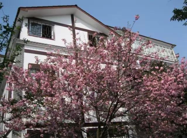 精选南岸嘿巴适农家乐，这个国庆有得耍，让你嗨到不想回家！