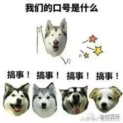 箱根十大温泉酒店排名,箱根泡温泉哪个酒店有名