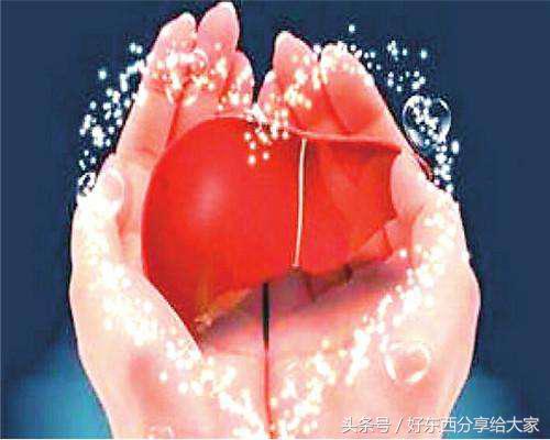 养肝最好的喝什么茶才能养肝,喝什么茶养肝最有效的方法