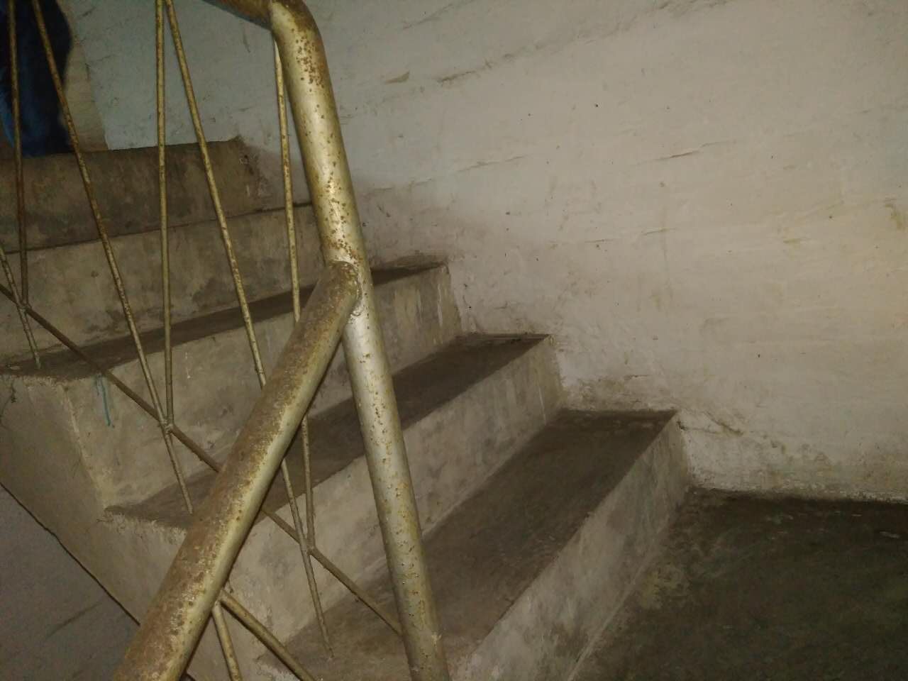 沙田村旅游攻略,广东东莞乡村休闲体验季