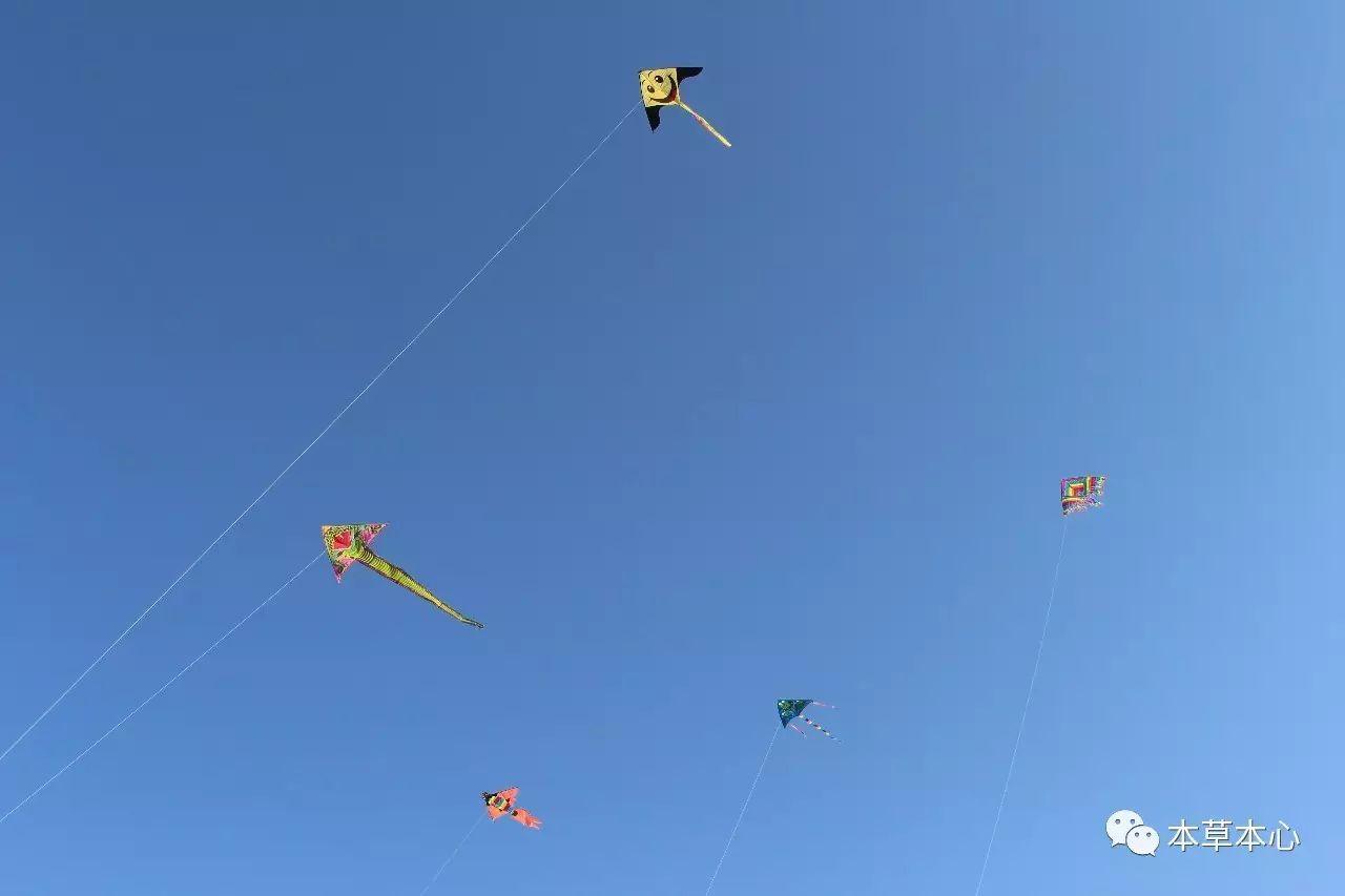 踏秋时节，雨霏霏，明日就是秋分