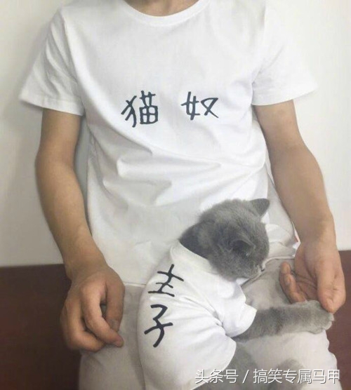 搞笑gif图再不逃就来不及了,搞笑gif趣图给我点面子行不行