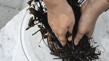 烧仙草还是龟苓膏好吃,烧仙草为啥叫烧仙草龟苓膏