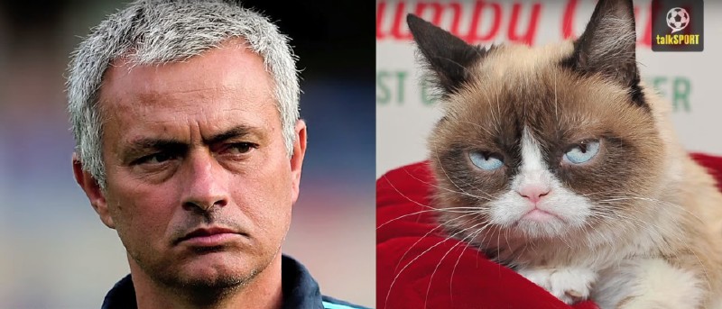 太像了！太像了！你喜欢的足球运动员像什么动物？