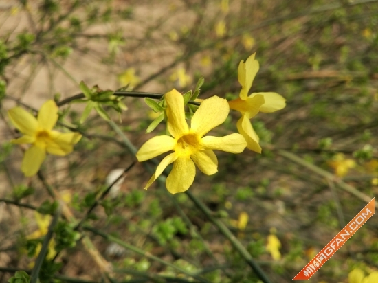 好用的小米产品推荐,实用和耐用手机推荐哪款