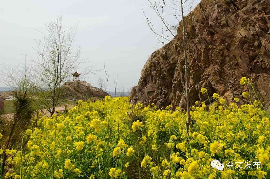 小手牵大手一同去郊游,小手拉着大手一起郊游