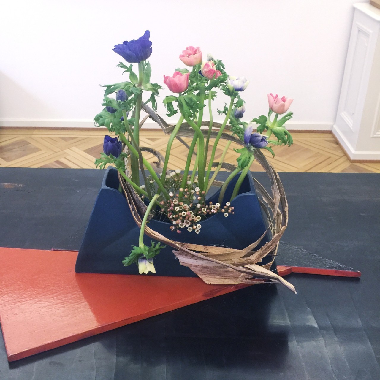 长知识升逼格｜来看看大蜥蜴国有多了不起