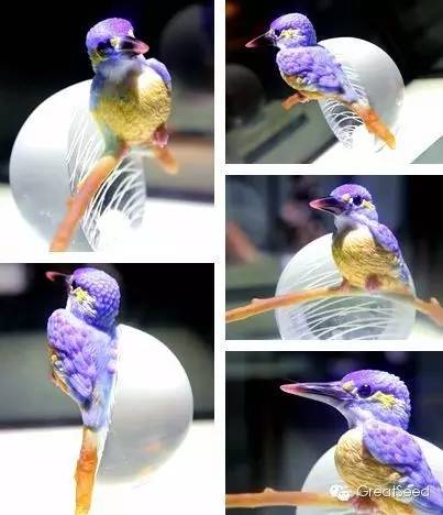 全国非遗展览,中国非遗传统技艺展