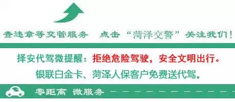 小鸟被恶鸟袭击,被鸟粪袭击怎么办