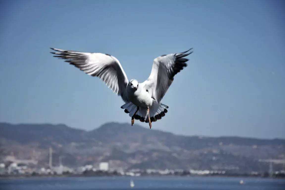 尼康d7200成片欣赏,尼康d7200一镜走天下