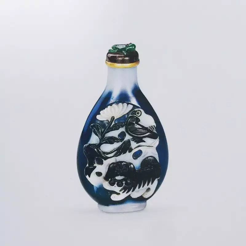 长知识升逼格｜来看看大蜥蜴国有多了不起