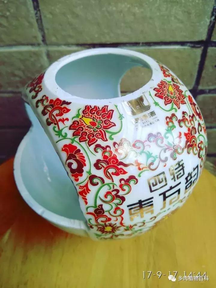 透明酒瓶种多肉怎么才好看,空酒瓶利用种多肉