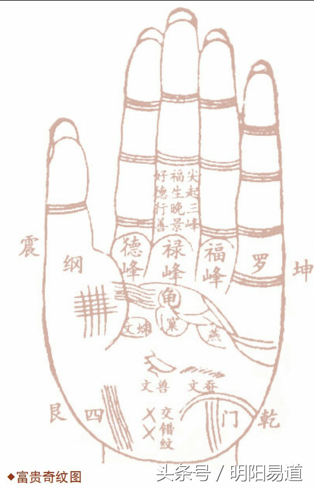 各种手相事业运势图表图片,如何从手相看运气