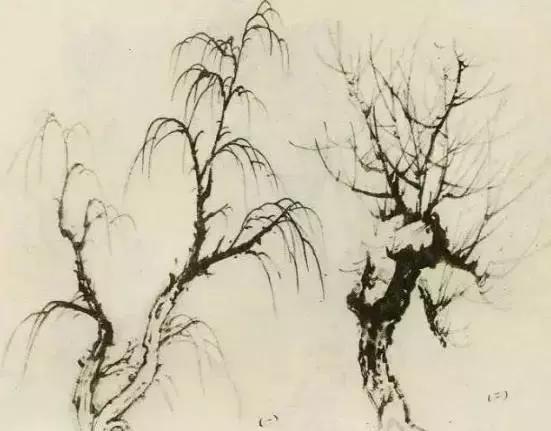 怎么画树最简单而且还最好看,怎么样才能画树画的最好看