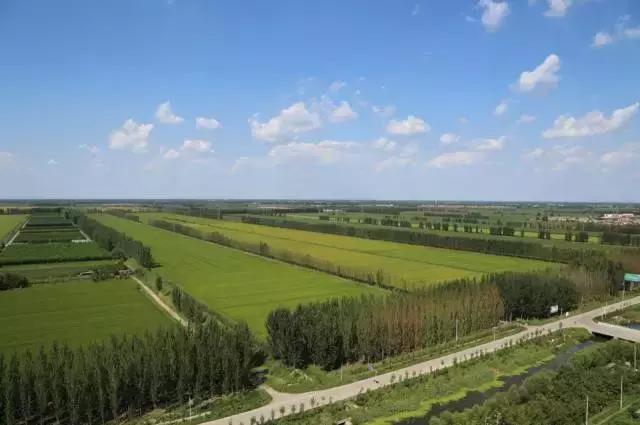 今非昔比的“飞地”!唐山芦台、汉沽双双登上《河北日报》头版头条!