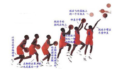 一些简单高效的篮球健身动作,篮球运动是很好的健身项目