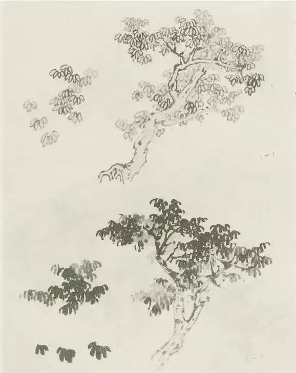 怎么画树最简单而且还最好看,怎么样才能画树画的最好看