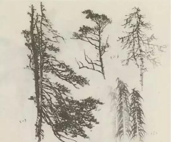 怎么画树最简单而且还最好看,怎么样才能画树画的最好看