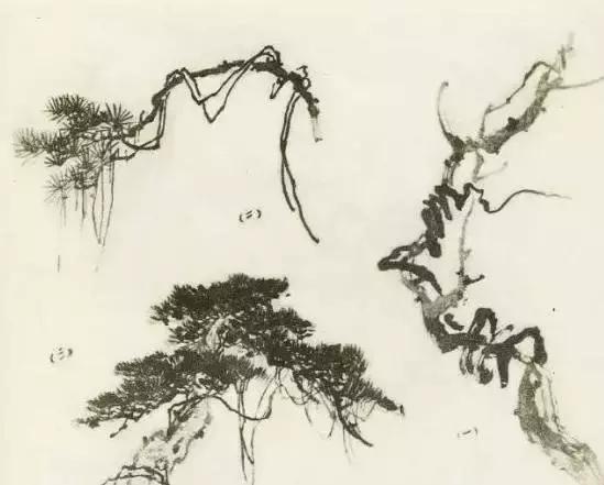 怎么画树最简单而且还最好看,怎么样才能画树画的最好看