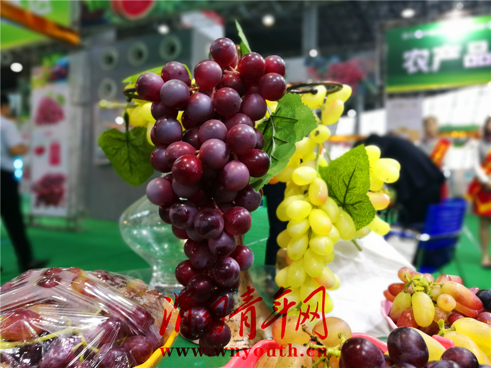 中国第六届西部跨采会,第六届中国西部服装展会