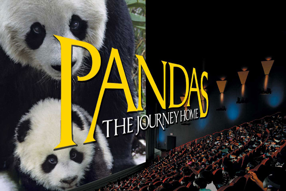 玩美假期纯玩品质游,完美假期度假