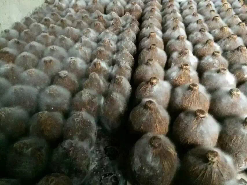 酒友必须知道的事情,洞藏老酒是不是真的