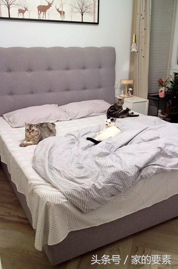 简约修身的马卡龙色,当简约风遇上马卡龙色