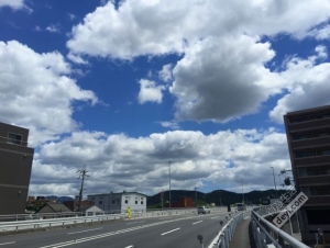 日本小众深度游玩攻略,日本关西打卡攻略