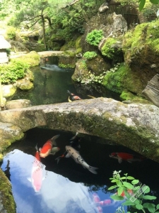 碉堡｜日本关西深度游最详细攻略！体验全日本最美的小渔村，吃嗨