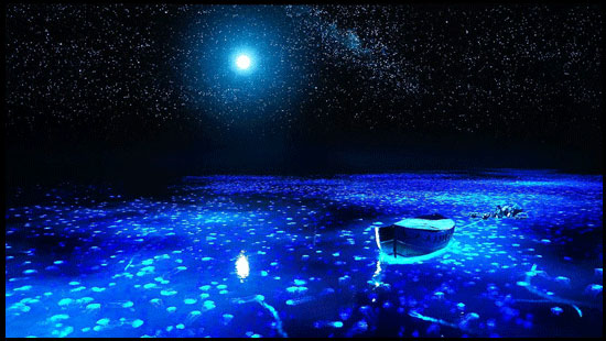 索尼a1与7c比较,索尼a1对比评测