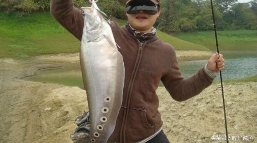 瀵绘壘绁炵榫欓奔,鎺㈢绁炵楸肩被