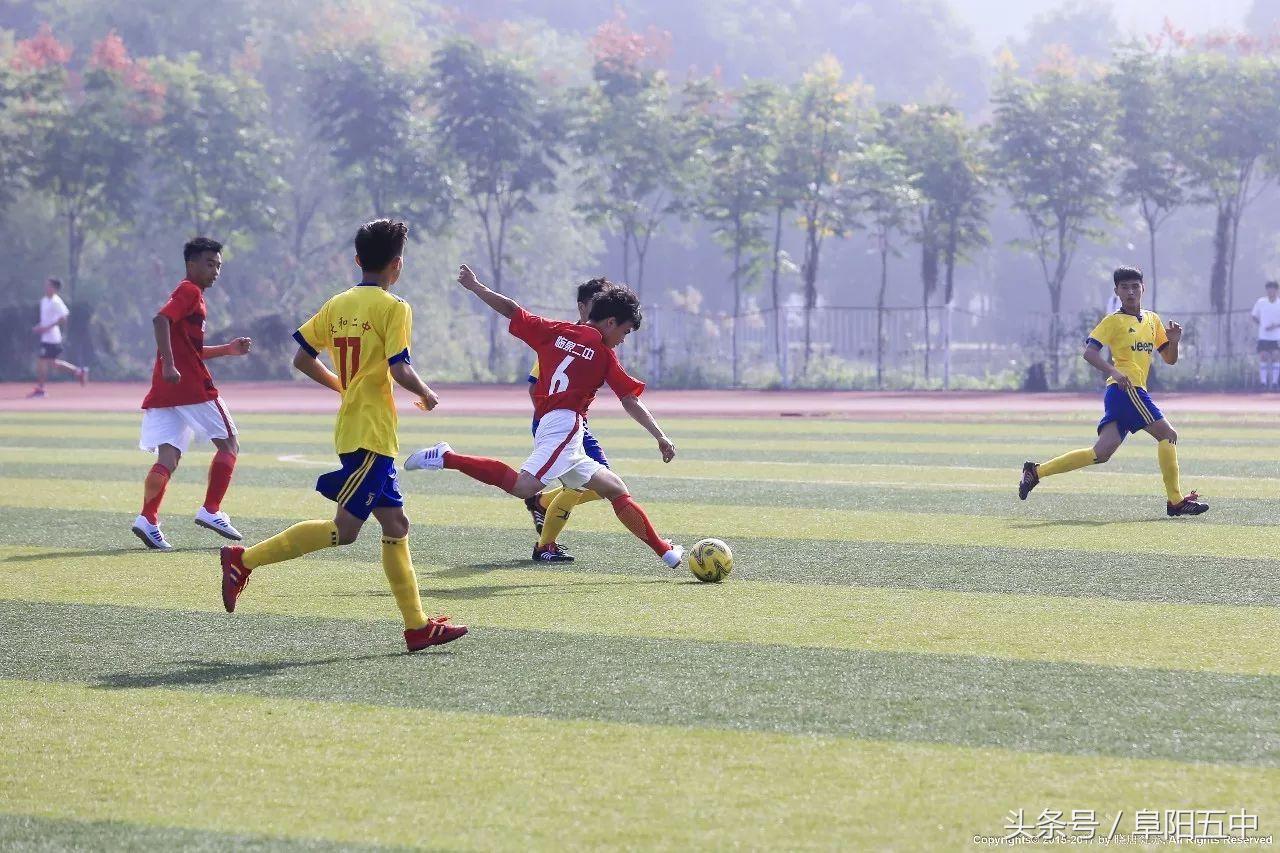 安徽阜阳足球联赛,2024年阜阳青少年足球联赛