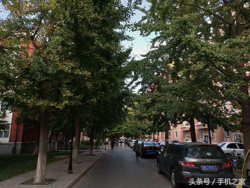 vivox20手机深度测评,vivox20性能测试