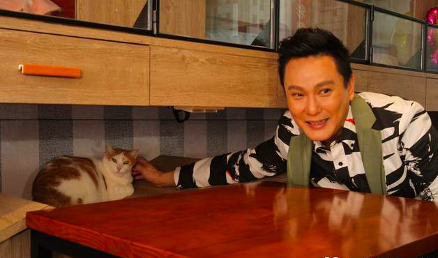 张信哲40载救援流浪猫,张信哲慈善捐款