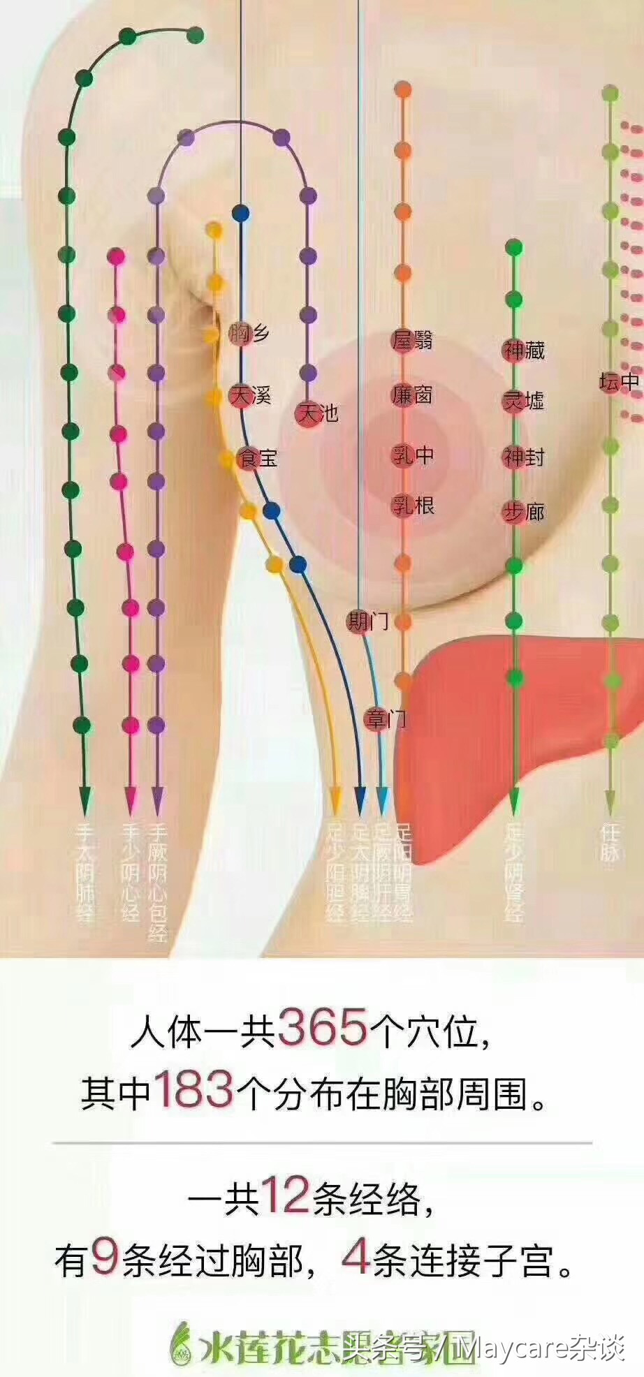 副乳腋下淋巴结堵塞,腋下淋巴结肿大活检危害