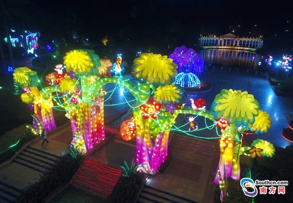 广州森林旅行,广州森林之旅