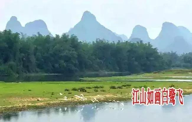 阳朔平乐,平乐是阳朔吗