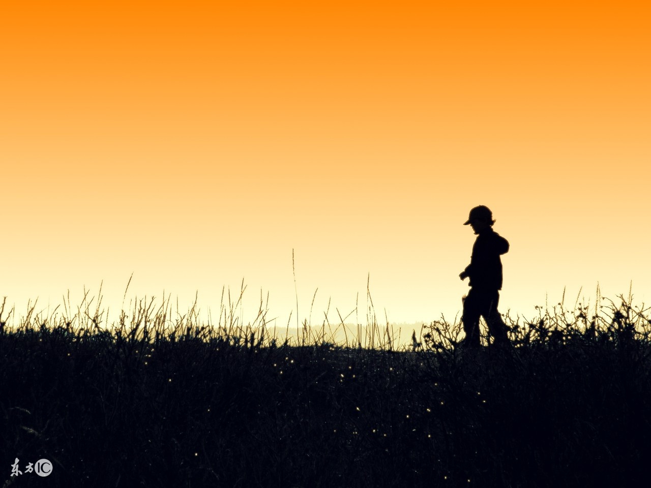 系统化运营,系统化交易者