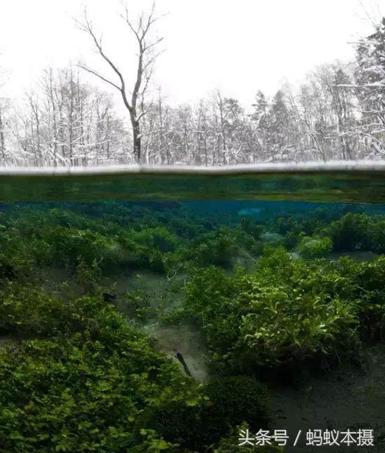 30张你一辈子也拍不到的照片,十种你一辈子都拍不到的照片