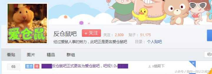 关于仓鼠的小知识,仓鼠小知识200条