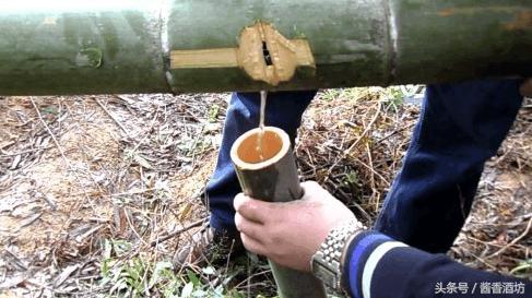 竹筒酒怎么辨别真假,酒鉴别真假的方法