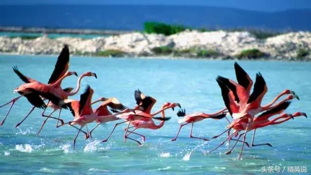 美国留学签证面签详细流程,美国签证如何网上预约面签时间